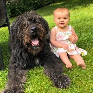 Meet your Posher, Carina